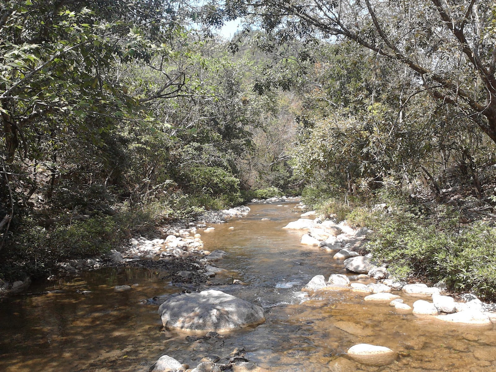 SANTA MARIA NATIVITAS COATLAN y aca un album con fotos de